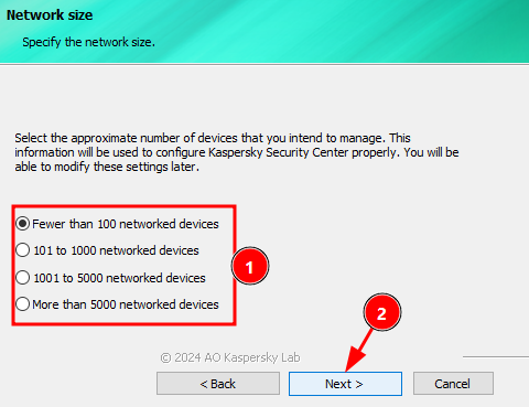 Network size
